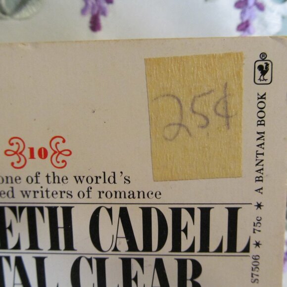 Crystal Clear by Elizabeth Cadell Vintage Paperback 1973 Bantam PB - Picture 4 of 16